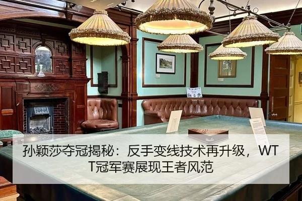 sun-ying-sha-duo-guan-jie-mi-fan-shou-bian-xian-ji-shu-zai-sheng-ji-guan-jun-sai-zhan-xian-wang-zhe-feng-fan-2-696.jpg