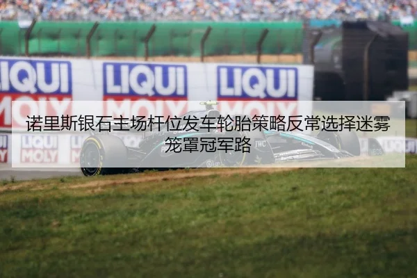 诺里斯银石主场杆位发车轮胎策略反常选择迷雾笼罩冠军路