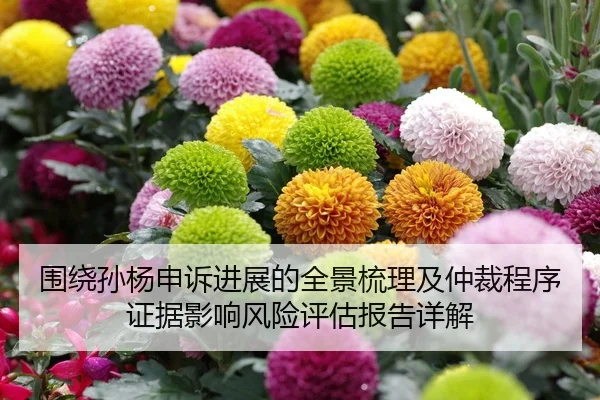围绕孙杨申诉进展的全景梳理及仲裁程序证据影响风险评估报告详解