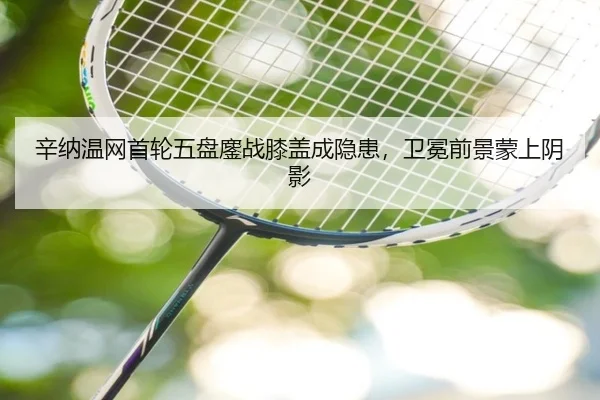 xin-na-wen-wang-shou-lun-wu-pan-ao-zhan-xi-gai-cheng-yin-huan-wei-mian-qian-jing-meng-shang-yin-ying-2-483.jpg